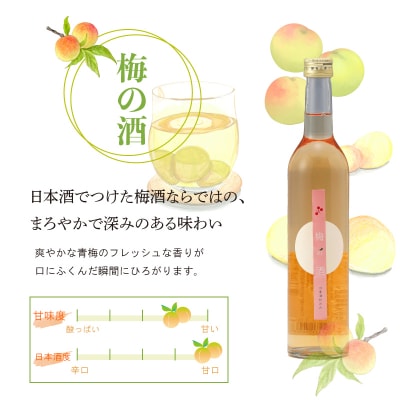 梅の酒 リキュール 500ml × 2本 EW140