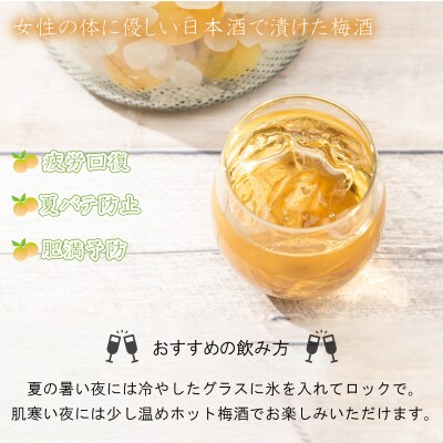 梅の酒 リキュール 500ml × 2本 EW140