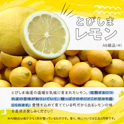 【2025年11月下旬～発送】レモン1kgとレモンバラエティセット ku118-008-25