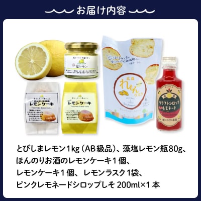 【2025年11月下旬～発送】レモン1kgとレモンバラエティセット ku118-008-25
