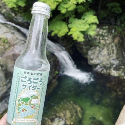 ごろごろサイダー　250ml×1箱(24本入)