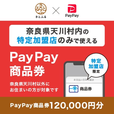 奈良県天川村　PayPay商品券(120,000円分)※地域内の一部の加盟店のみで利用可