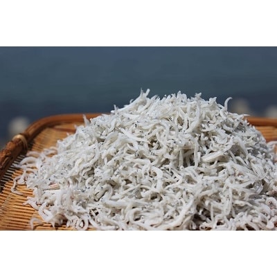 東京　豊洲市場　御用達!「淡路島のしらす干し」1kg