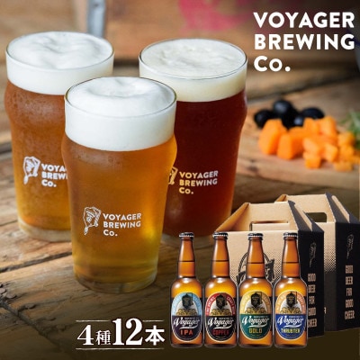 田辺市唯一のクラフトビール4種類12本セット【bbi002-1】