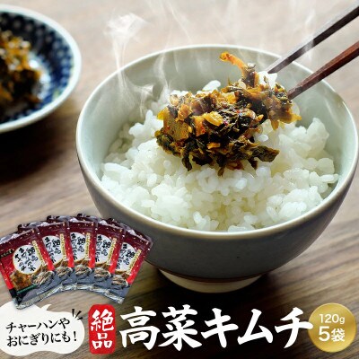 絶品高菜キムチ 600g(120g×5袋セット) 【kms008】