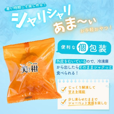 冷凍みかん 紀州産わっ!美柑セット 15個入【kms020】