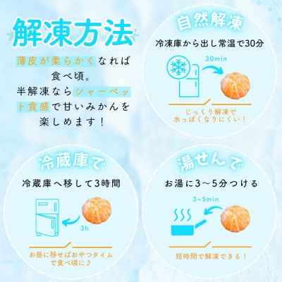 冷凍みかん 紀州産わっ!美柑セット 15個入【kms020】