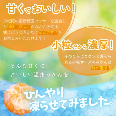 冷凍みかん 紀州産わっ!美柑セット 20個入【kms021】
