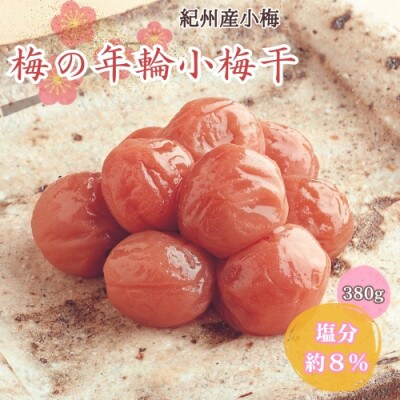 梅の年輪小梅干 380g 塩分約8%【mrs021】