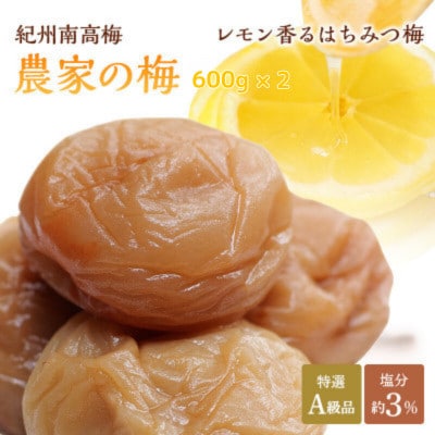 紀州南高梅「農家の梅」はちみつ梅(塩分約3%)600g×2 ※レモンパウダー入り【nkn801-1】