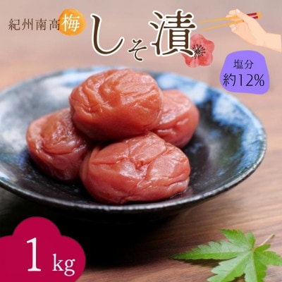 紀州南高梅 しそ漬(塩分約12%)1kg(500g×2)【nkn018-2】