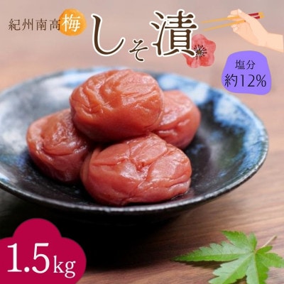 紀州南高梅 しそ漬(塩分約12%)1.5kg(500g×3) 【nkn024-2】