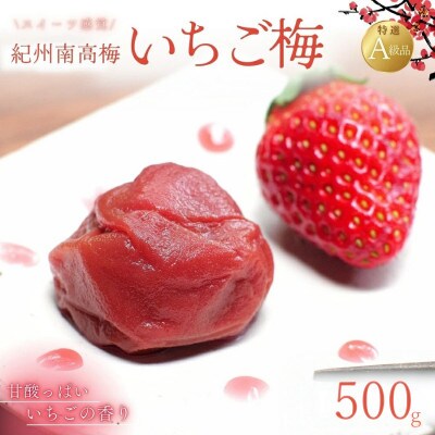 紀州南高梅 いちご梅 500g【nkn008-3】