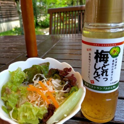 農家のお母さん手づくり梅ドレッシング 200ml×2本【grt009-1】