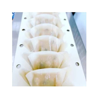 にんにく餃子セット 計100個(25個入り×4パック)【gyz014】