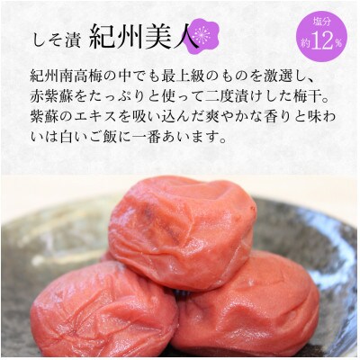 紀州南高梅 しそ漬紀州美人 (塩分約12%)1.2kg【kmr006-1】