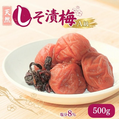 天然　しそ漬梅 塩分8% 500g 【ktk007】
