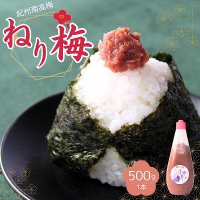 ねり梅500g(1本)【ktk030】