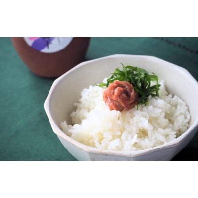 ねり梅500g(1本)【ktk030】