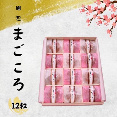 個包「紀州里一番」まごころ【12粒】塩分8%【ktk027】