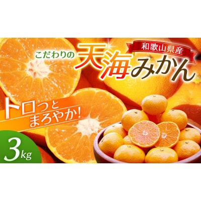 天海みかん 完熟宮川早生3kg 【先行予約】/ 和歌山【nak005-1】