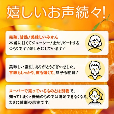 天海みかん 完熟宮川早生3kg 【先行予約】/ 和歌山【nak005-1】