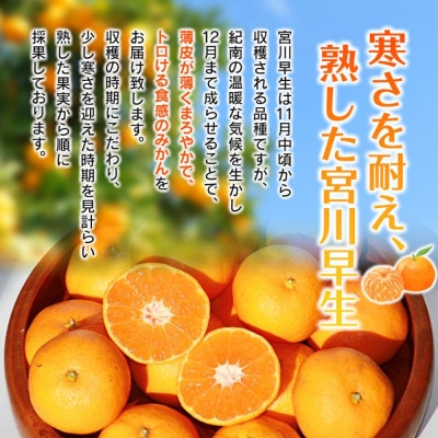 天海みかん 完熟宮川早生3kg 【先行予約】/ 和歌山【nak005-1】