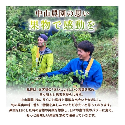 【先行予約】中山農園の南高梅　青梅1kg ※2026年5月下旬から順次発送【nak016-1】