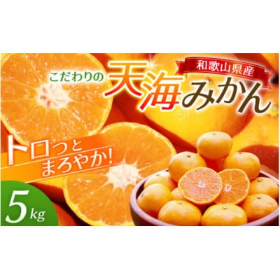 天海みかん 完熟宮川早生5kg 【先行予約】/ 和歌山【nak006-1】
