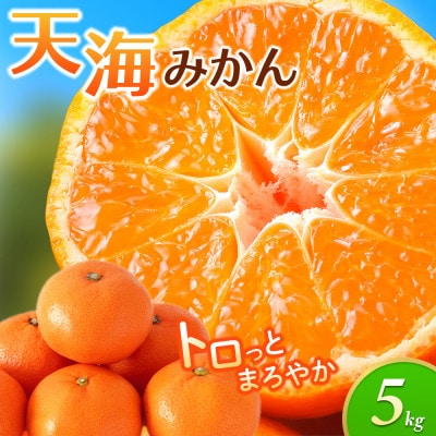 温州みかん 天海みかん 柑橘 完熟宮川早生5kg 和歌山 田辺市 農家直送【nak006-1】