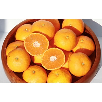 天海みかん 完熟宮川早生5kg 【先行予約】/ 和歌山【nak006-1】