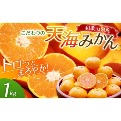 天海みかん 完熟宮川早生 1kg 和歌山 田辺市 農家直送【nak004】