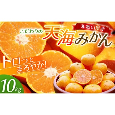 天海みかん 完熟宮川早生 10kg 和歌山 田辺市 農家直送【nak007-1】