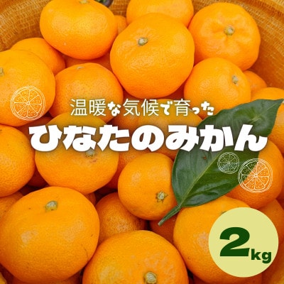 <先行予約>ひなたのみかん 2kg※2025年12月頃より順次発送予定【okm001】