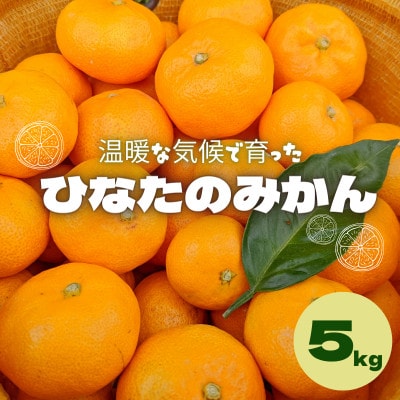 <先行予約>ひなたのみかん5kg ※2025年12月頃より順次発送予定【okm005】