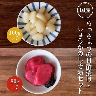 らっきょうの甘酢漬け100g×3・しょうがのしそ漬80g×3セット【ksn008-1】