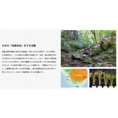紀州のお米 熊野米5kg / 田辺市 ブランド米 ひかり新世紀【tgm003-2】