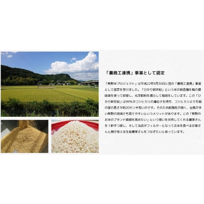 紀州のお米 熊野米 計10kg(5kg×2) / 田辺市 熊野ブランド米【tgm004-1】