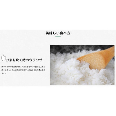 紀州のお米 熊野米 計10kg(5kg×2) / 田辺市 熊野ブランド米【tgm004-1】