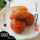 紀州南高梅 白干し梅(塩分約20%)500g 【hnt016】