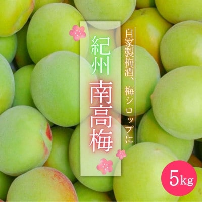 紀州南高梅(青梅)5kg ※2025年6月頃に順次発送予定【hnt004】