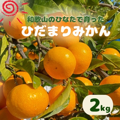 【先行予約】日向屋 ひだまりみかん 2kg ※2025年12月頃に順次発送【hnt014】