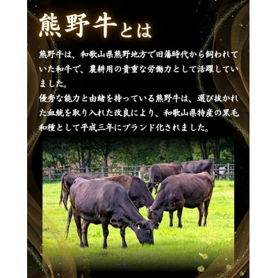 【熊野牛】イチボステーキ　約120g×4枚【hcy009】