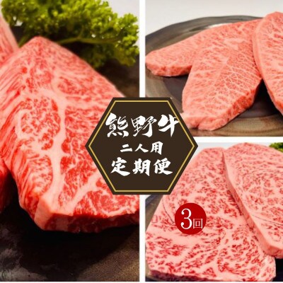 【毎月定期便】全3回 熊野牛 ステーキ3部位 ふたりで味わう食べ比べ 【hcy016-tk】全3回