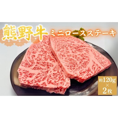【毎月定期便】全3回 熊野牛 ステーキ3部位 ふたりで味わう食べ比べ 【hcy016-tk】全3回