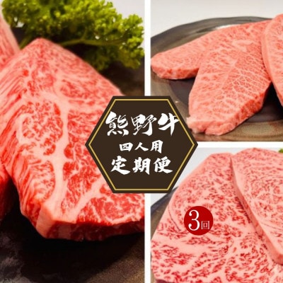 【毎月定期便】熊野牛 ステーキ3部位 4人で味わう 食べ比べ定期便 【hcy017-tk】全3回