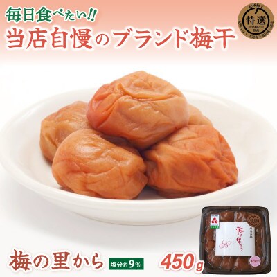 紀州南高梅「梅の里から」(塩分9%)450g【ing015-1】