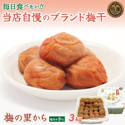 紀州南高梅「梅の里から」(塩分9%)3kg【ing026-1】