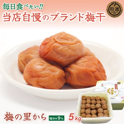 紀州南高梅「梅の里から」(塩分9%)5kg【ing027-1】