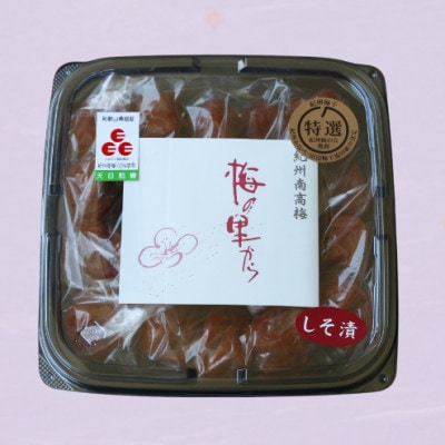 しそ漬け 450g 塩分8%【ing022-1】